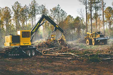 Forestry Equipment